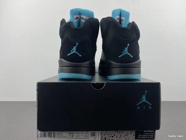 Cheap Husky DD0587-047 Aqua 5 Air Jordan 0529